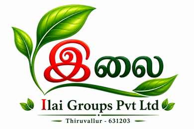 Ilai Groups Pvt Ltd